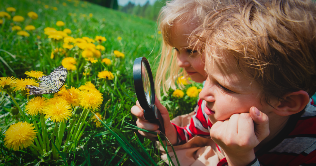 Kids Outdoors Looking at Butterfly