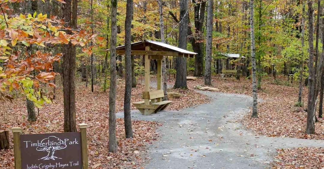 Timberland Park in Franklin, TN, colorful trail.