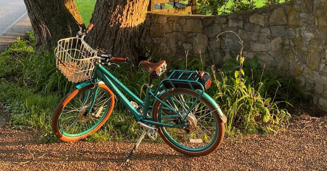 Aqua Pedego E-Bike underneath a tree