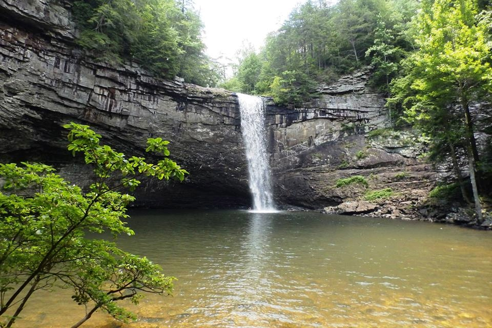 Foster Falls: Waterfall in Tennessee, located in South Cumberland State Park in Sequatchie, and the falls are about 1 hour and 45 minutes from Franklin, TN.