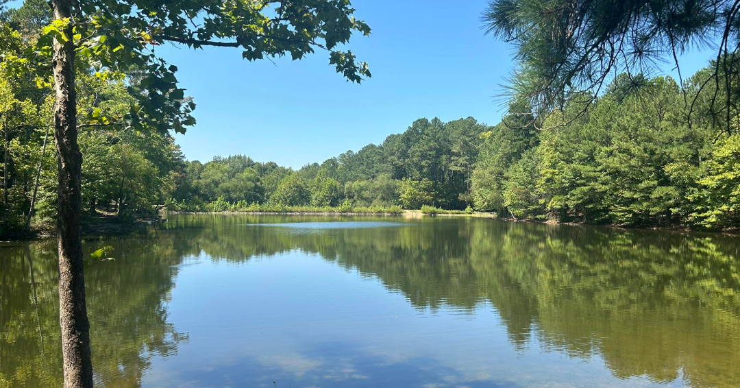 Bowie Park and Nature Center Fairview TN