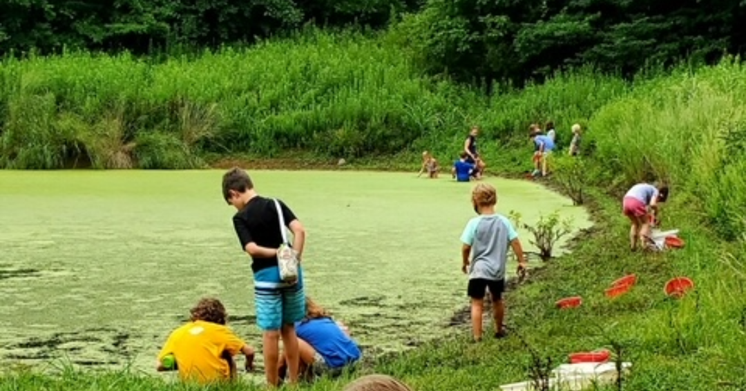 Kids gather around a pond at Owl's Hill Nature Sanctuary in Brentwood, TN.