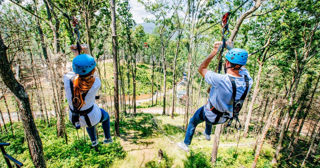 Zip lines at Anakeesta, a mountaintop adventure park in Gatlinburg, Tennessee, offer 2 distinctive mountain coasters: the Rail Runner and the Hellbender. 