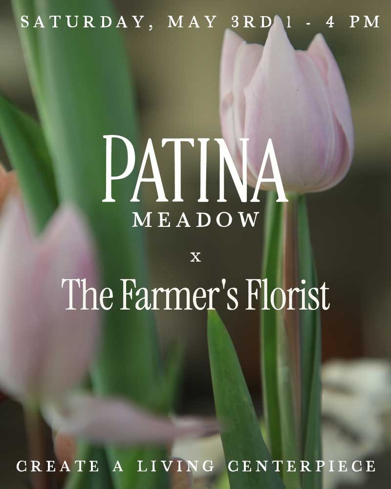 Patina Meadow + The Farmer's Florist- Creating A Living Arrangement in Franklin, Tenn.