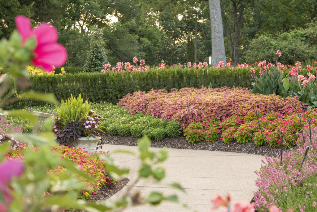 Summertime at Cheekwood in Nashville. Photo by Caitlin Harris. Courtesy of Cheekwood Estate & Gardens.