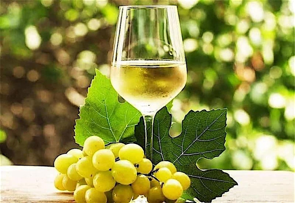 Riesling Around the World event in downtown Franklin Saint Goose Wine and Spirits.