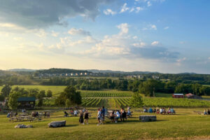 Tennessee Wineries Arrington Vineyards
