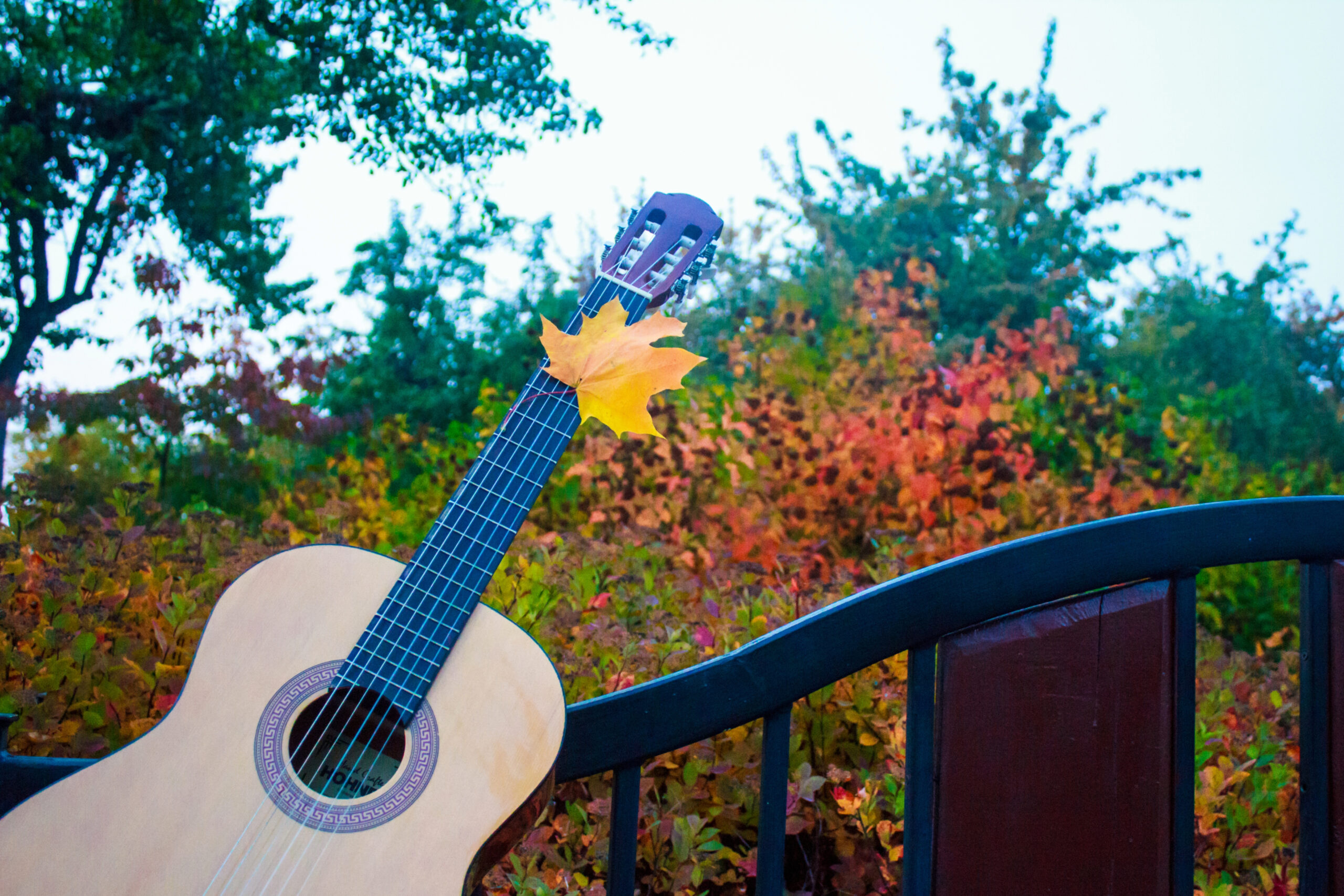 Live music in Franklin TN Fall Shows