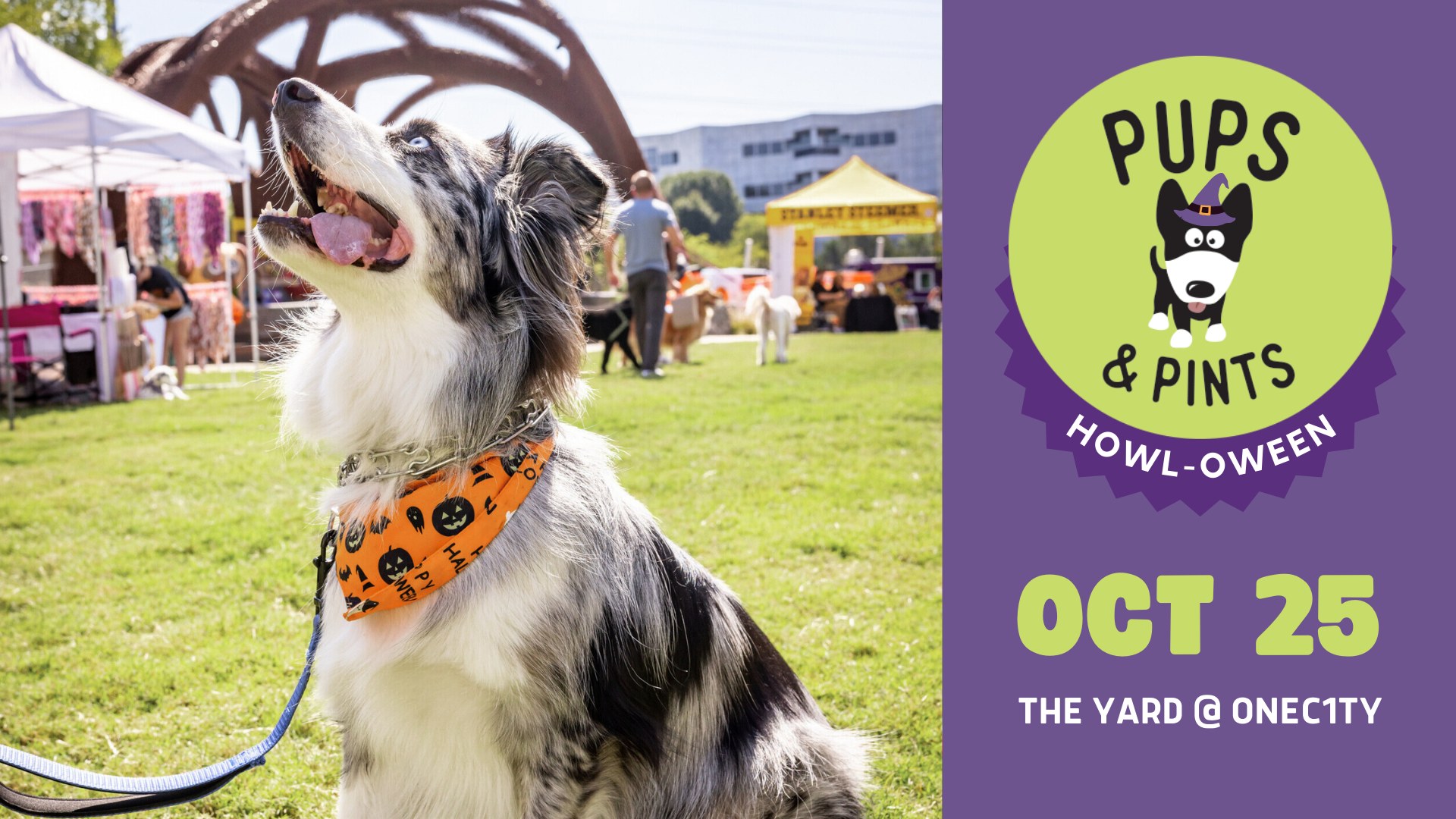 Pups & Pints HOWL-oween Festival Nashville, TN.