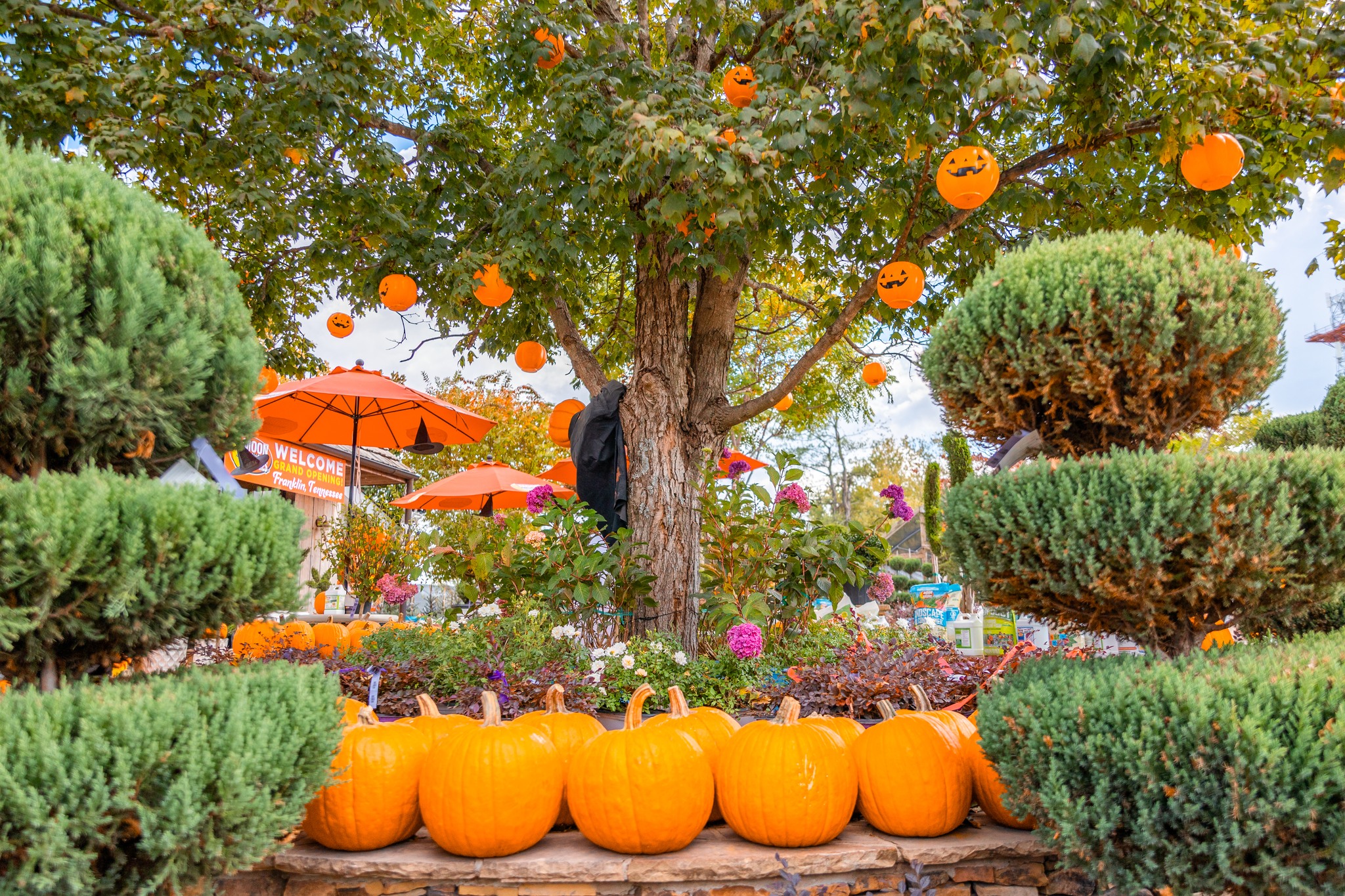 Harvest-Moon-Event-at-Moon-Valley-Nurseries