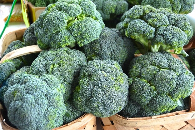 Franklin Farmers Market in Franklin, Tenn._Broccoli_ Franklin First United Methodist Church Franklin Farmers Market in Franklin, Tenn._Broccoli_ Franklin First United Methodist Church