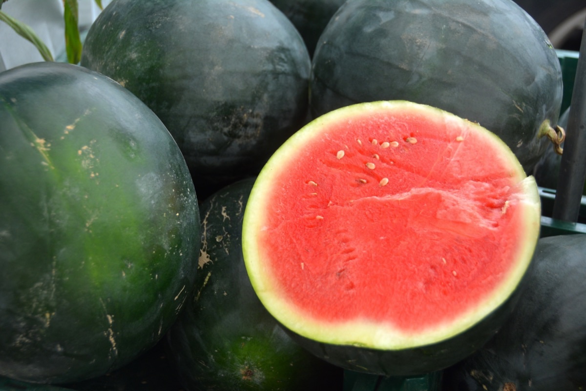 Franklin Farmers Market in Franklin, Tenn._Watermelons_ Franklin First United Methodist Church Franklin Farmers Market in Franklin, Tenn._Watermelons_ Franklin First United Methodist Church