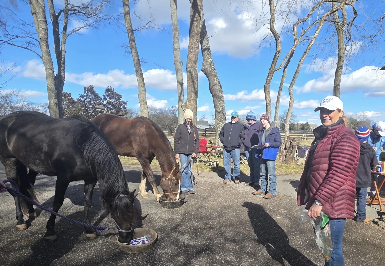 BellaReed Farm Hug a Horse Class Franklin, Tenn.