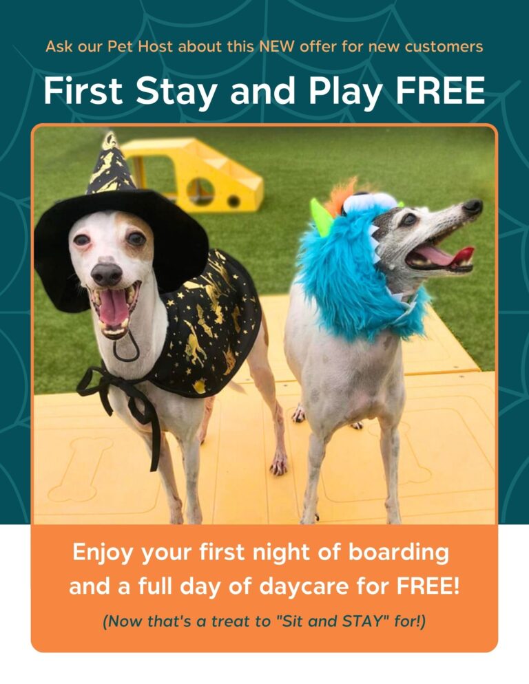 My Second Home Pet Resort & Spa