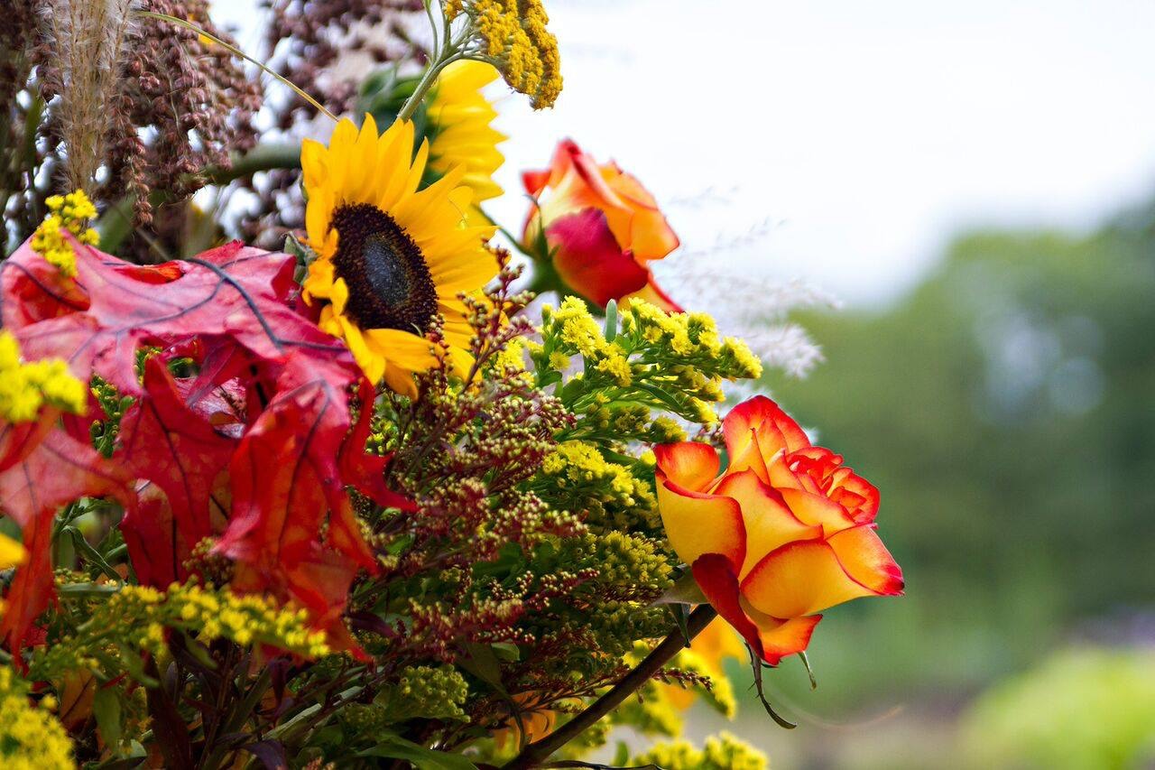 Garden Delights Fine Florist in Franklin, TN.