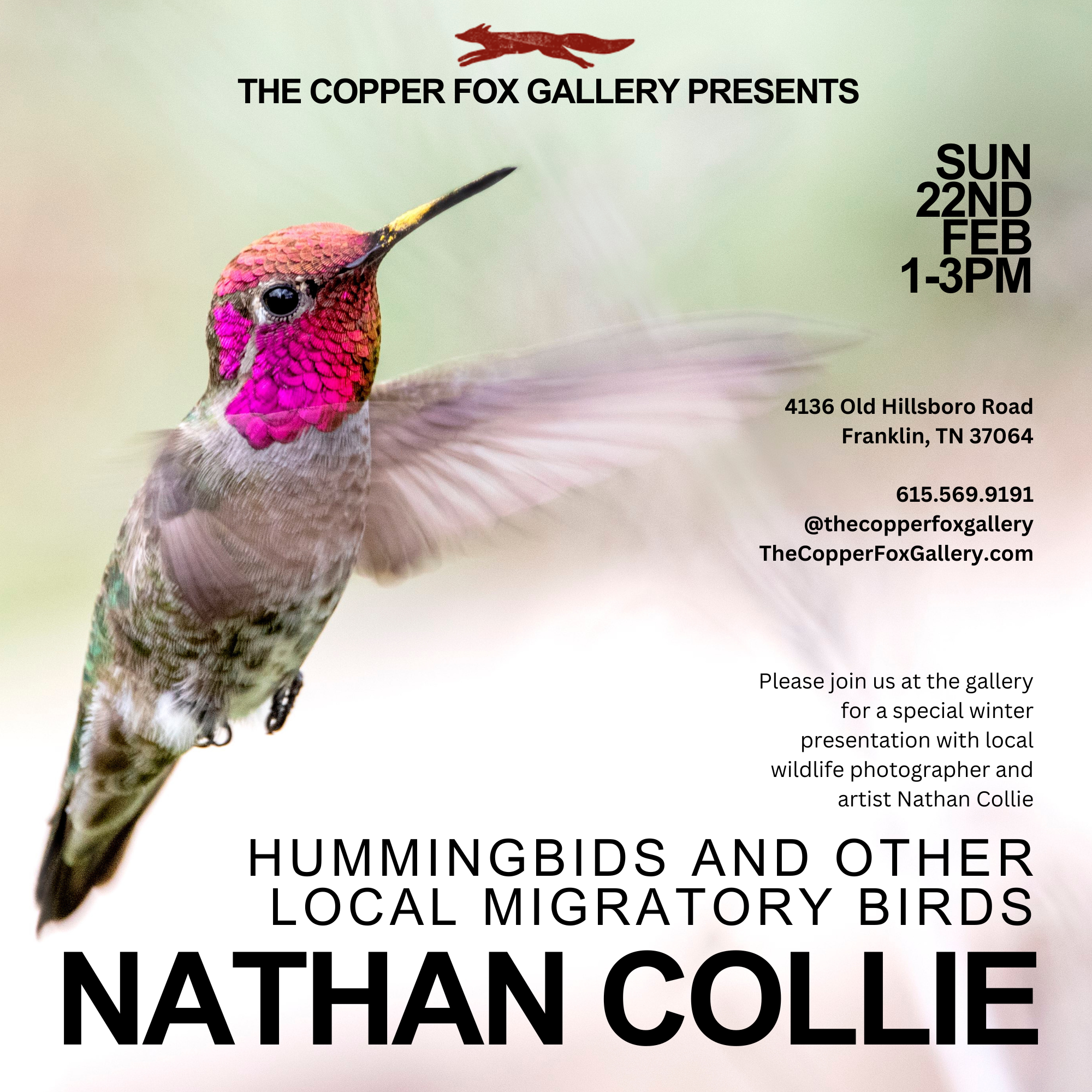 “Hummingbirds & Other Local Migratory Birds” Presentation with Nathan Collie Leiper's Fork TN.