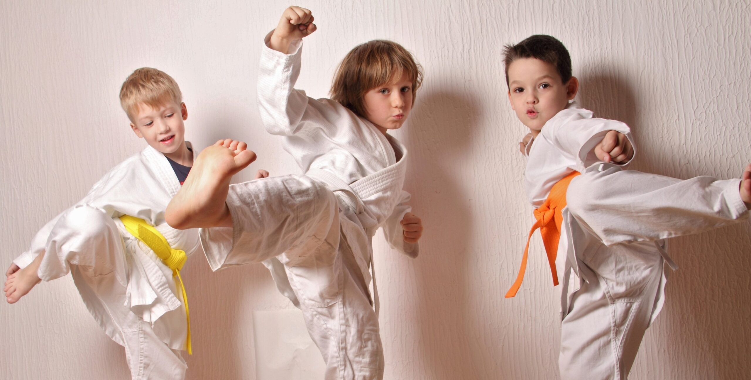 Kids martial arts classes in Franklin TN, three young boys practicing karate.