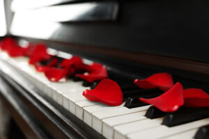 Many red rose petals on piano keys, closeup.