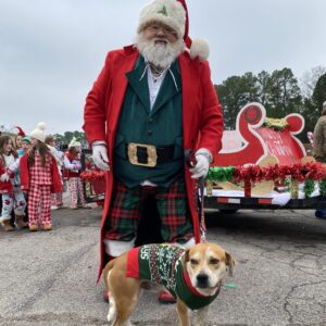 Williamson County Animal Center-Buddy a dog for adoption.