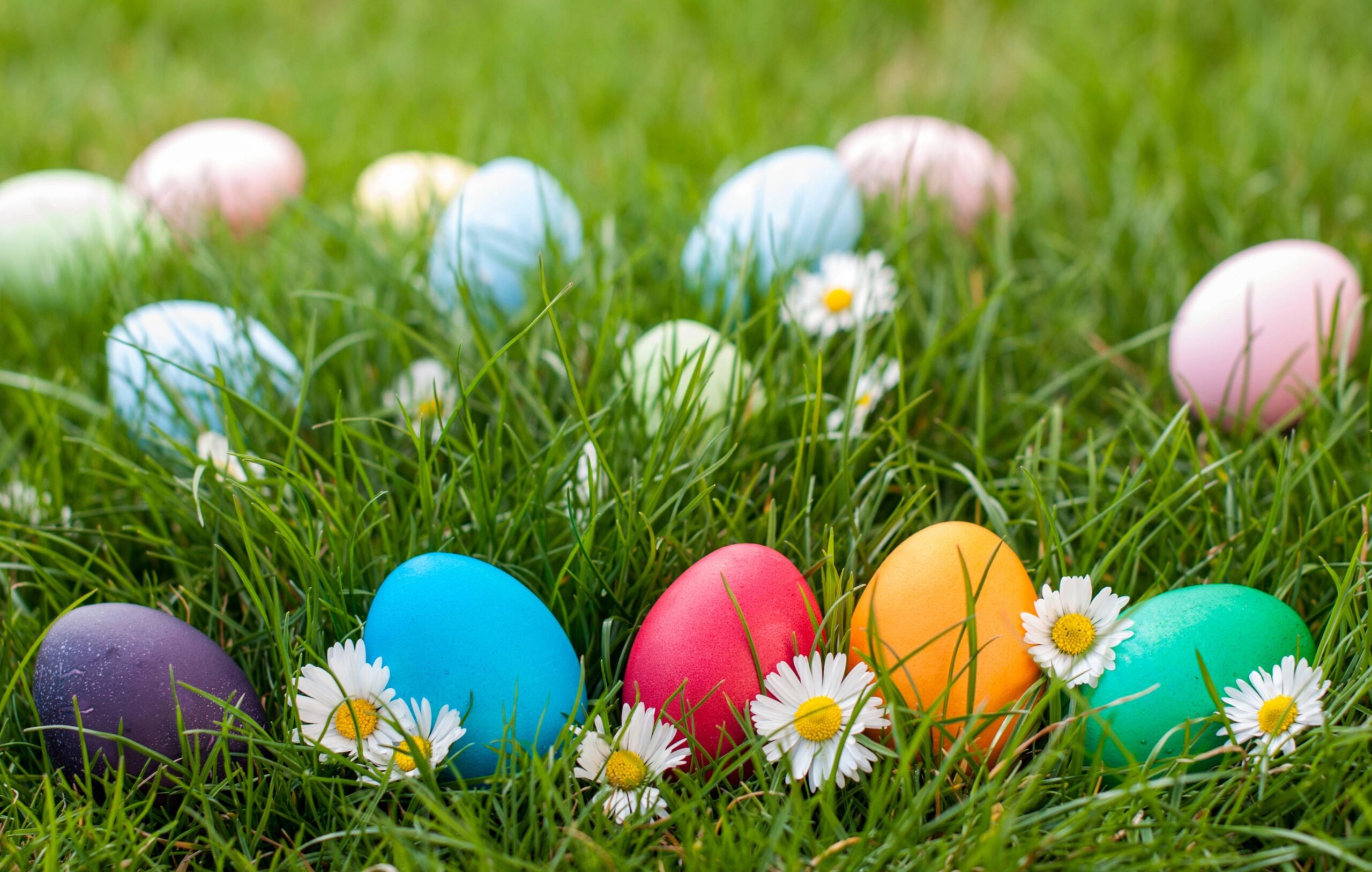 Biggest Easter Egg Hunts in Middle Tennessee, from Franklin and Nashville, to Spring Hill and Eagleville, these are some of the largest Easter Celebrations.