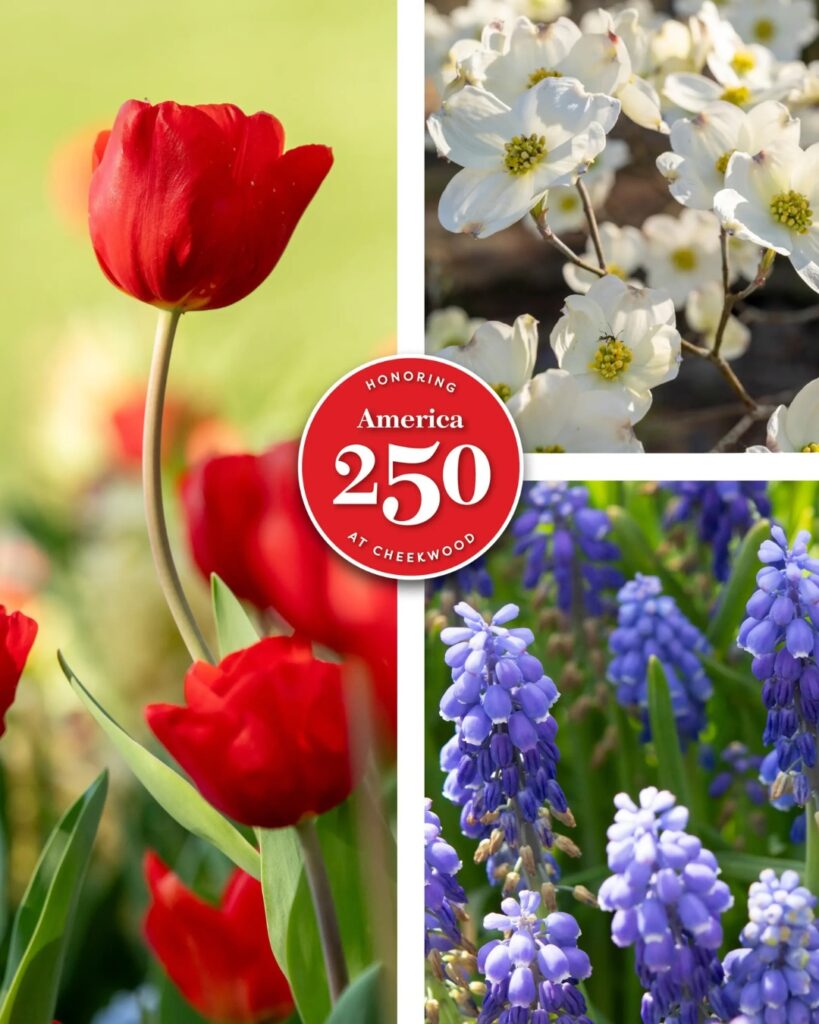 Cheekwood in Bloom: Red, White & Blooms