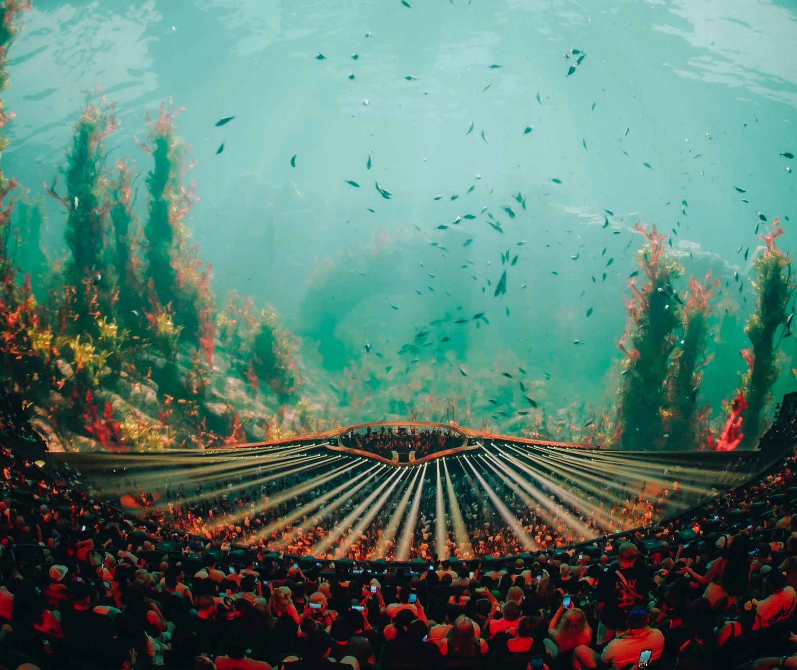 Nashville TN Sphere showing interior of the Las Vegas Sphere.