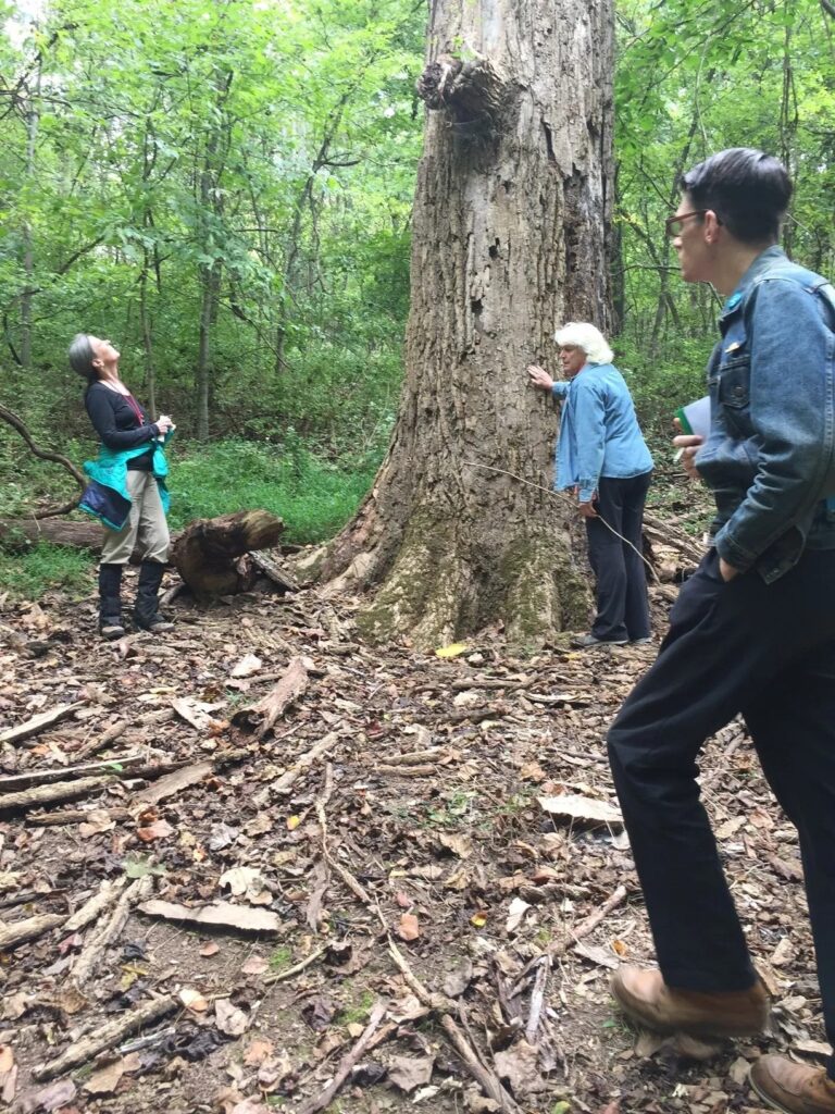 Naturalist Workshop- Into the Trees Owl's Hill Nature Sanctuary