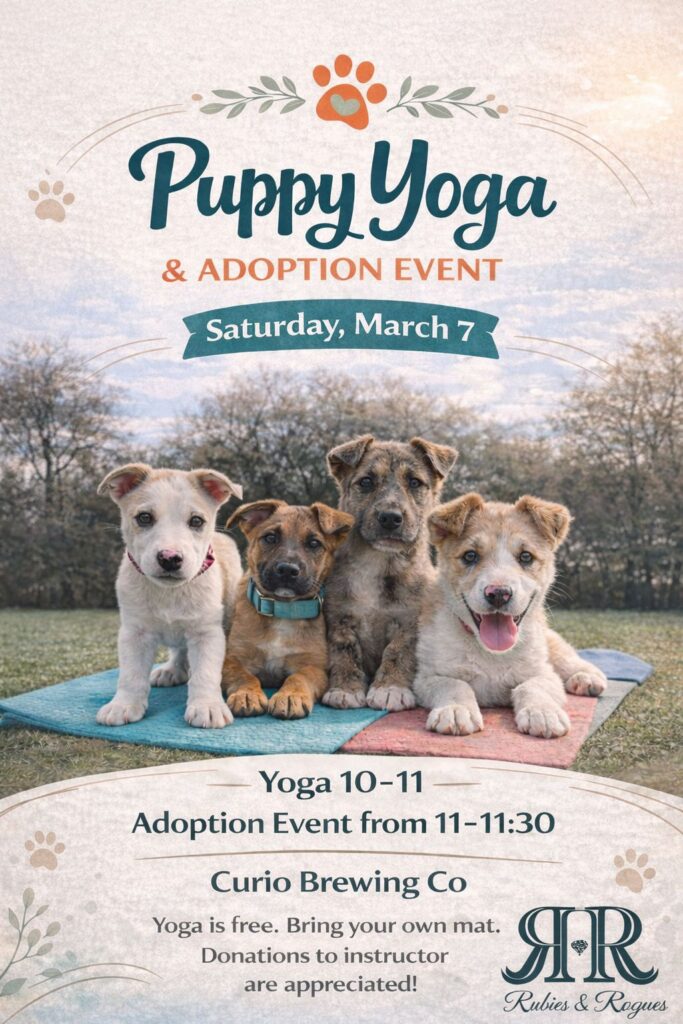 Puppy Yoga at Curio Brewing Co. in Franklin, TN