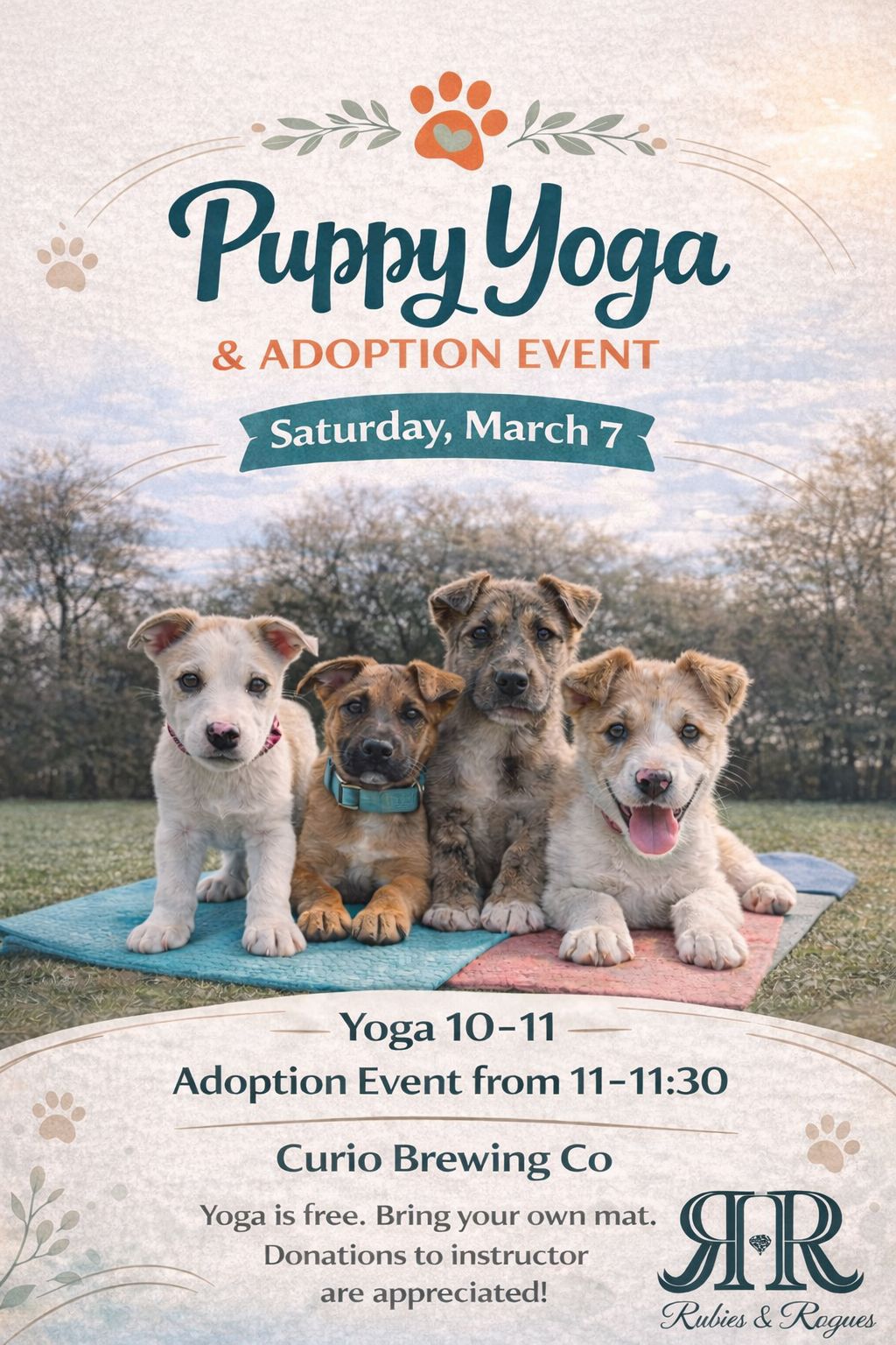 Puppy Yoga at Curio Brewing Co. in Franklin, TN