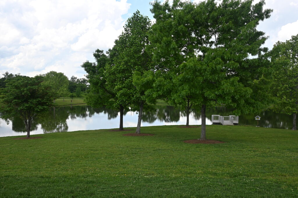 Calm pond at Harlinsdale Farm in Franklin TN reflecting trees and grassy lawn