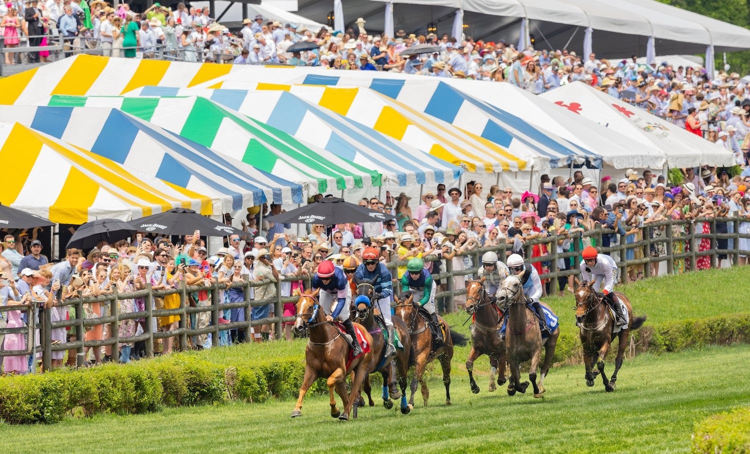 Horses racing at the Iroquois Steeplechase with spectators and tents in the background at Percy Warner Park in Nashville
