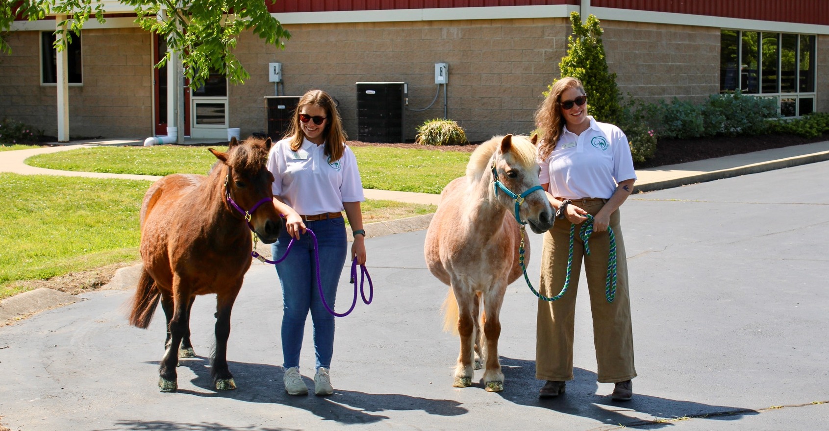 Saddle Up staff walking therapy horses at Franklin TN equine assisted program
