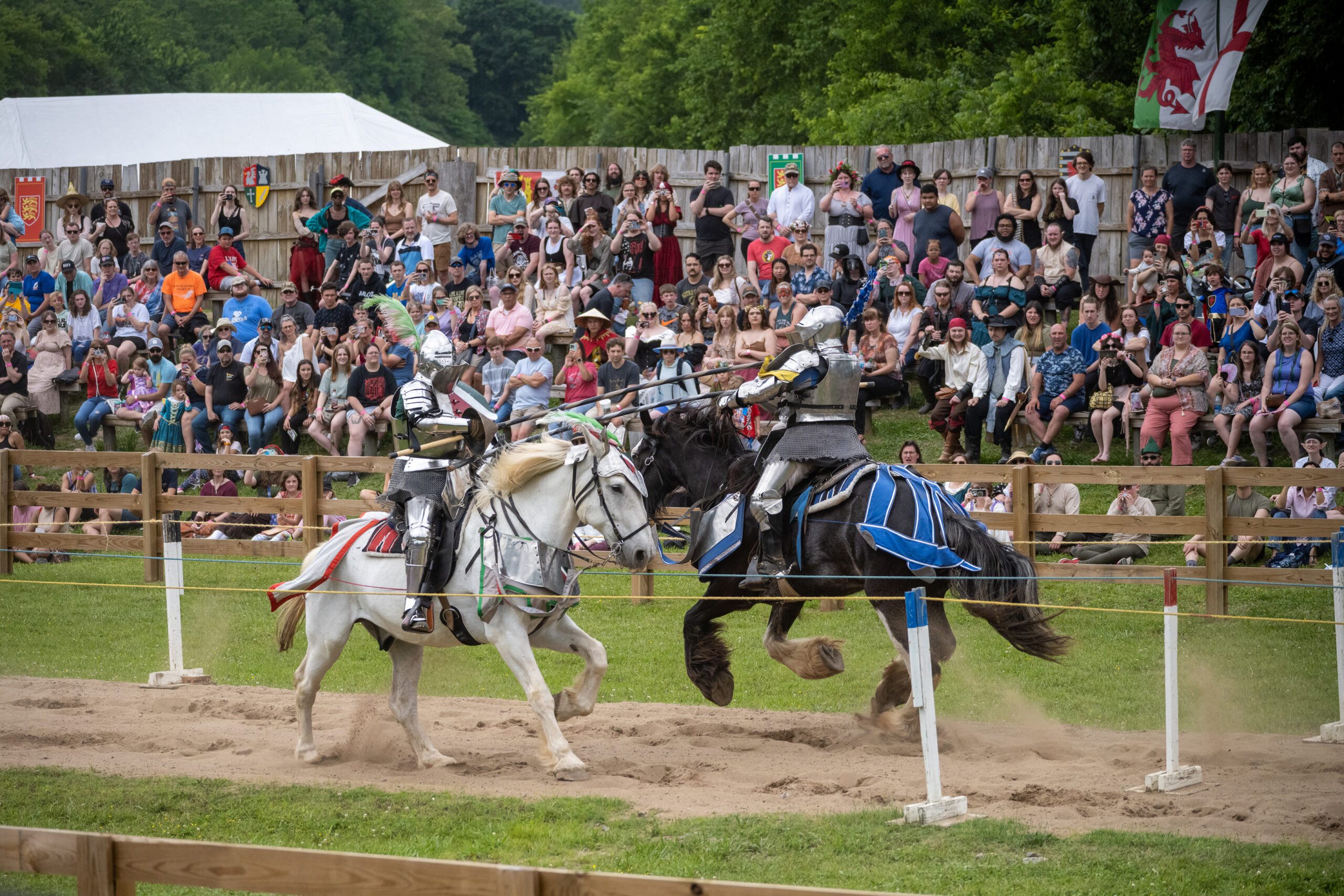 Tennessee Renaissance Festival in Arrington, TN, Jousting Events.
