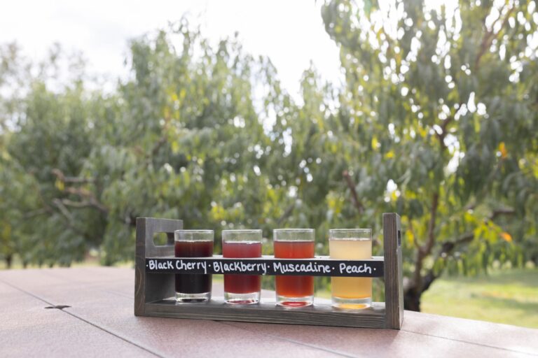 Guided Cider Tasting at Morning Glory Orchard.
