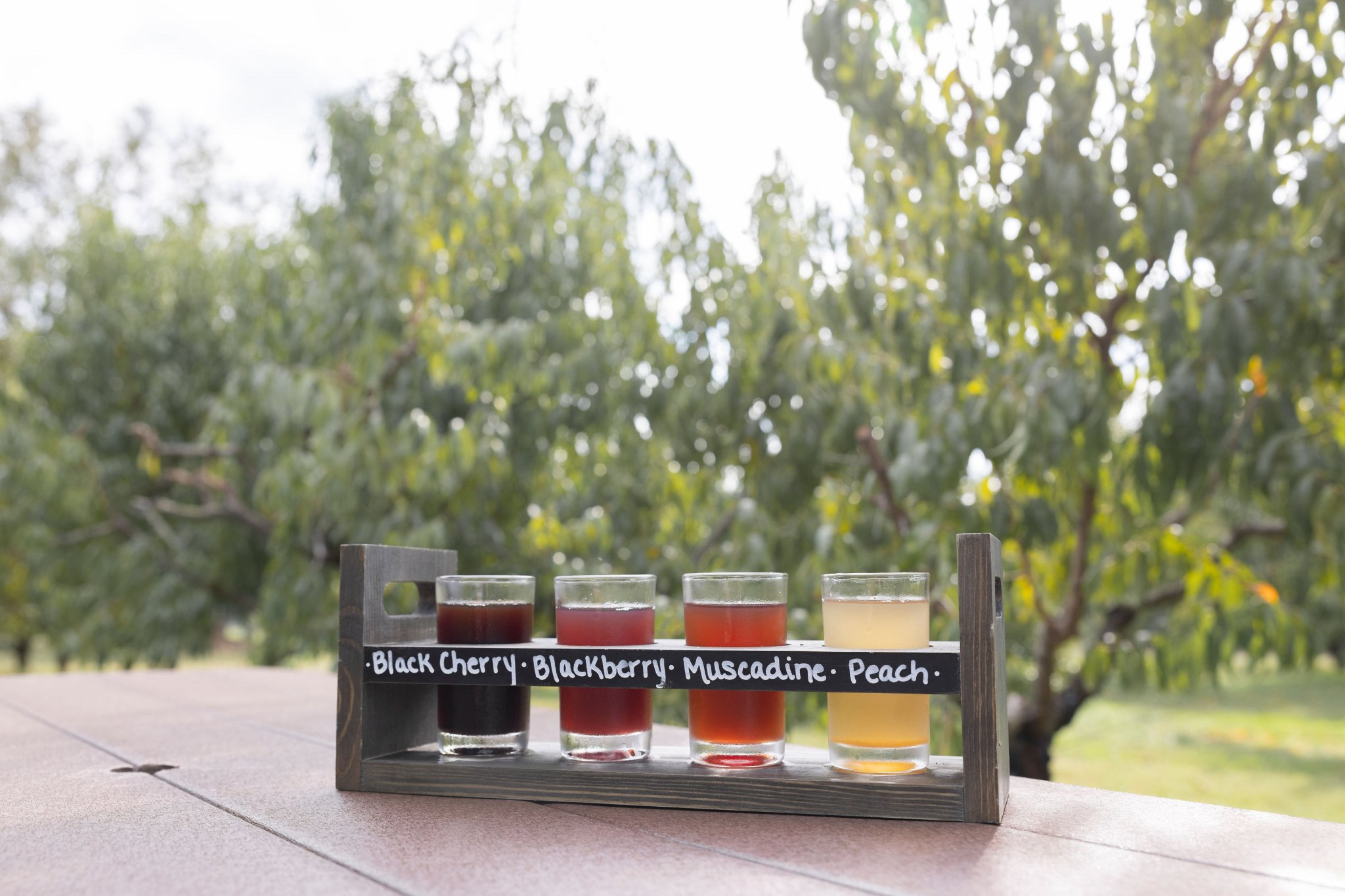Guided Cider Tasting at Morning Glory Orchard.