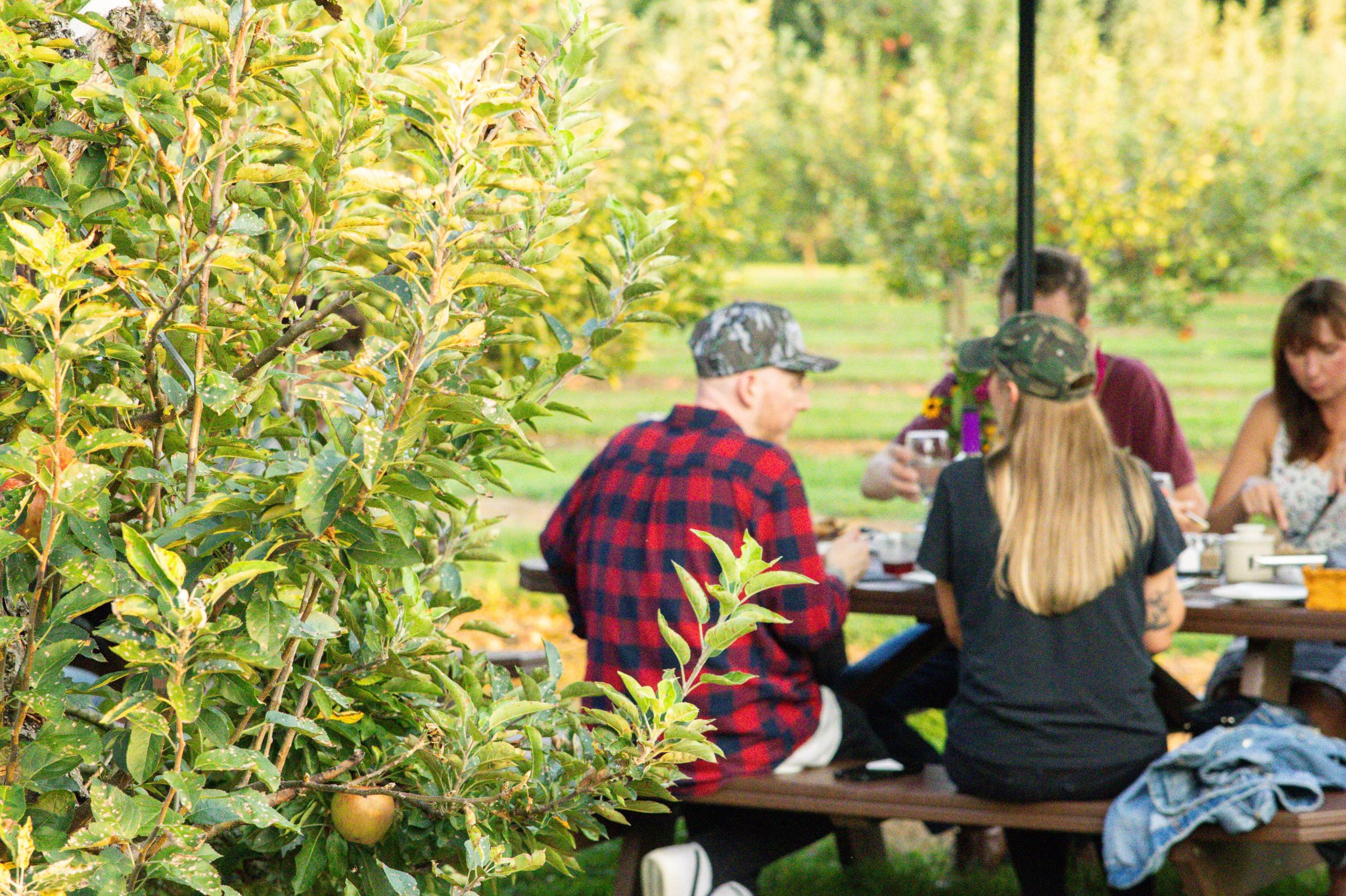 Sunsets & Cider at Morning Glory Orchard.