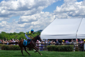 Race horse Famous Figure competes during the Iroquois Steeplechase in Nashville, Tennessee.
