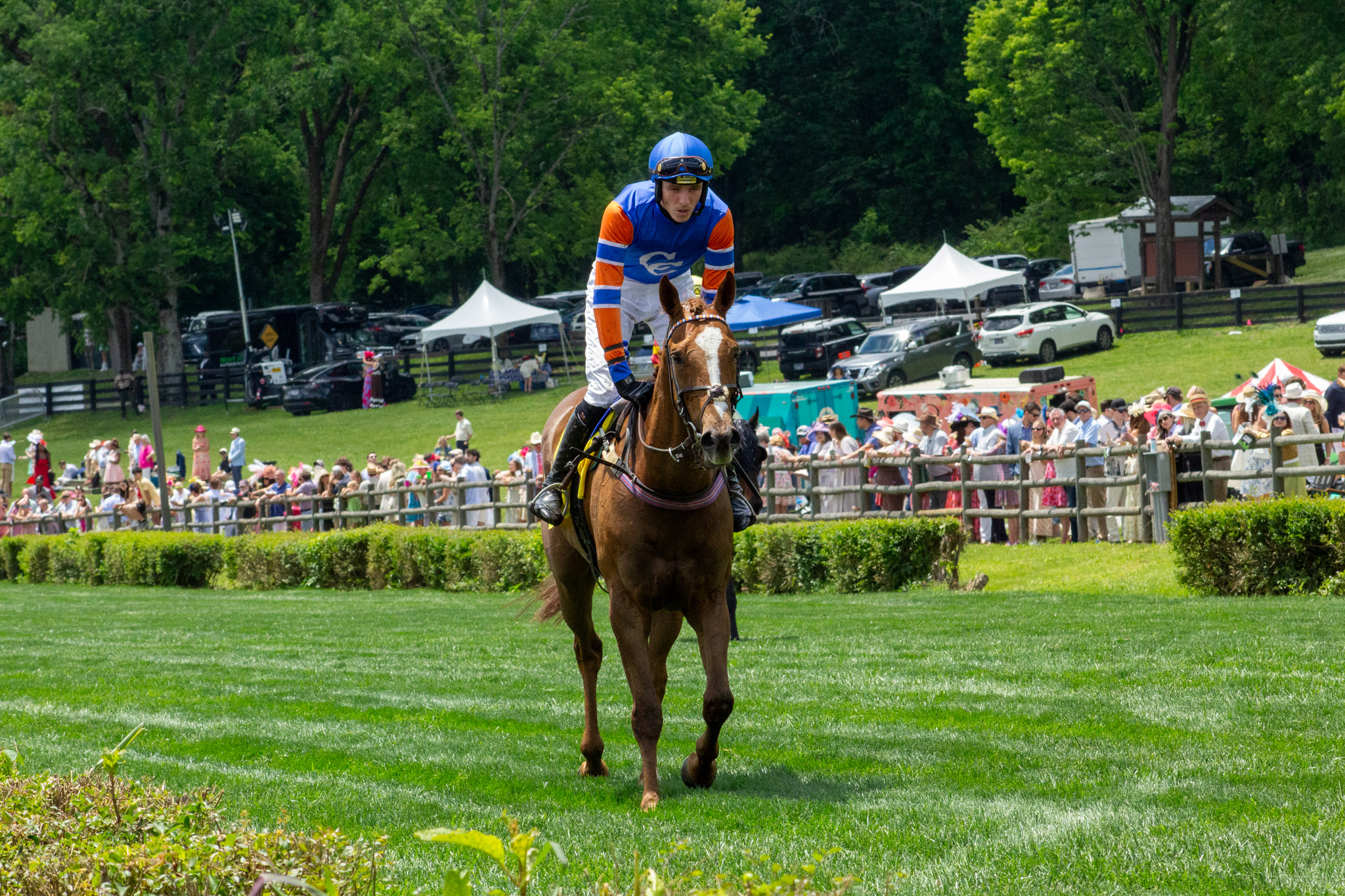 Iroquois Steeplechase Nashville jockey riding a horse along the grass course at Percy Warner Park.