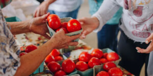 Tomatoes being sold at a Tennessee farmers market for the Tennessee Farmers Market Trail. Photo by photographer Holly Rainey.