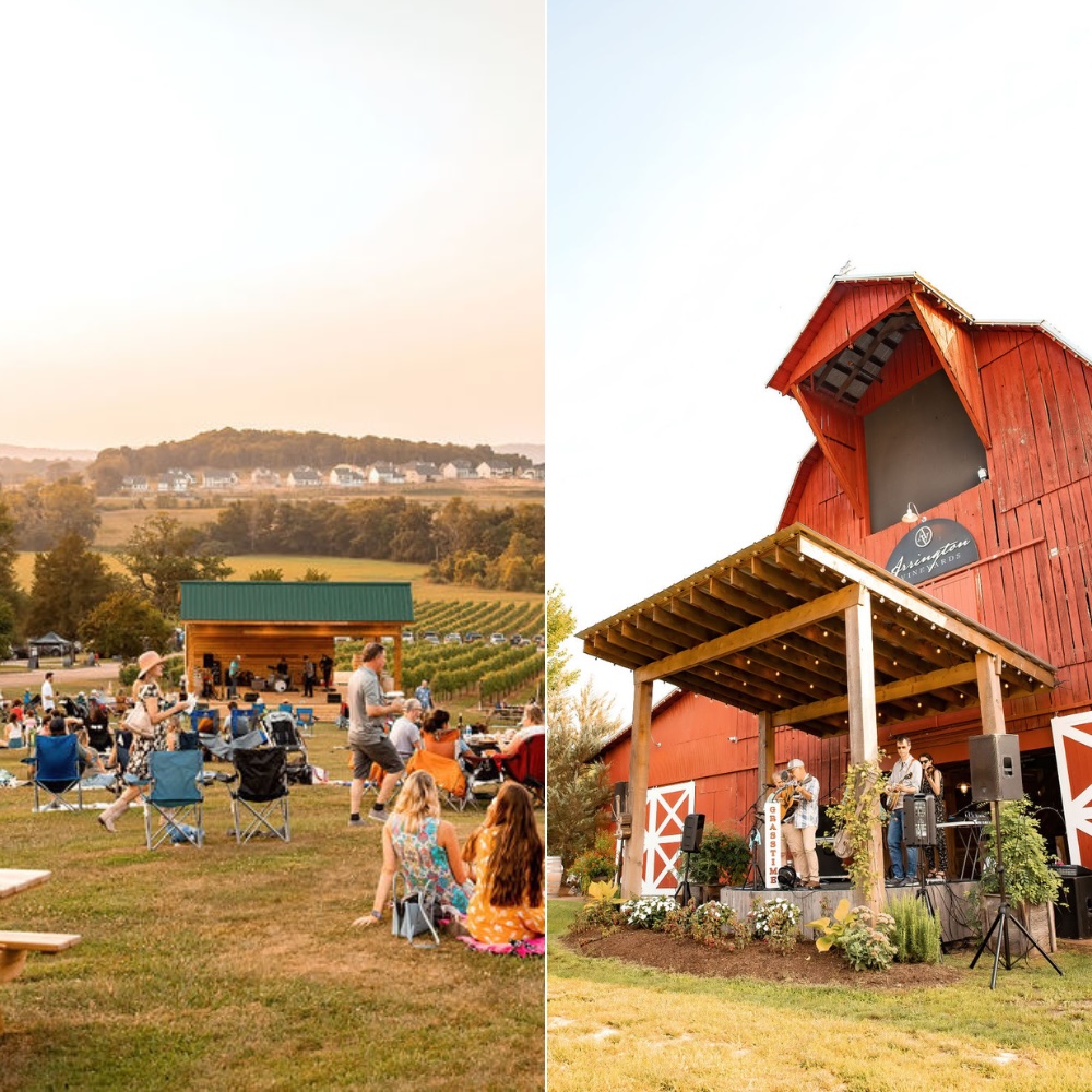 Arrington Vineyards Jazz on the Hillside- Andrew Carney Quartet | Bluegrass at the Barn- The Mighty Rischecraft.