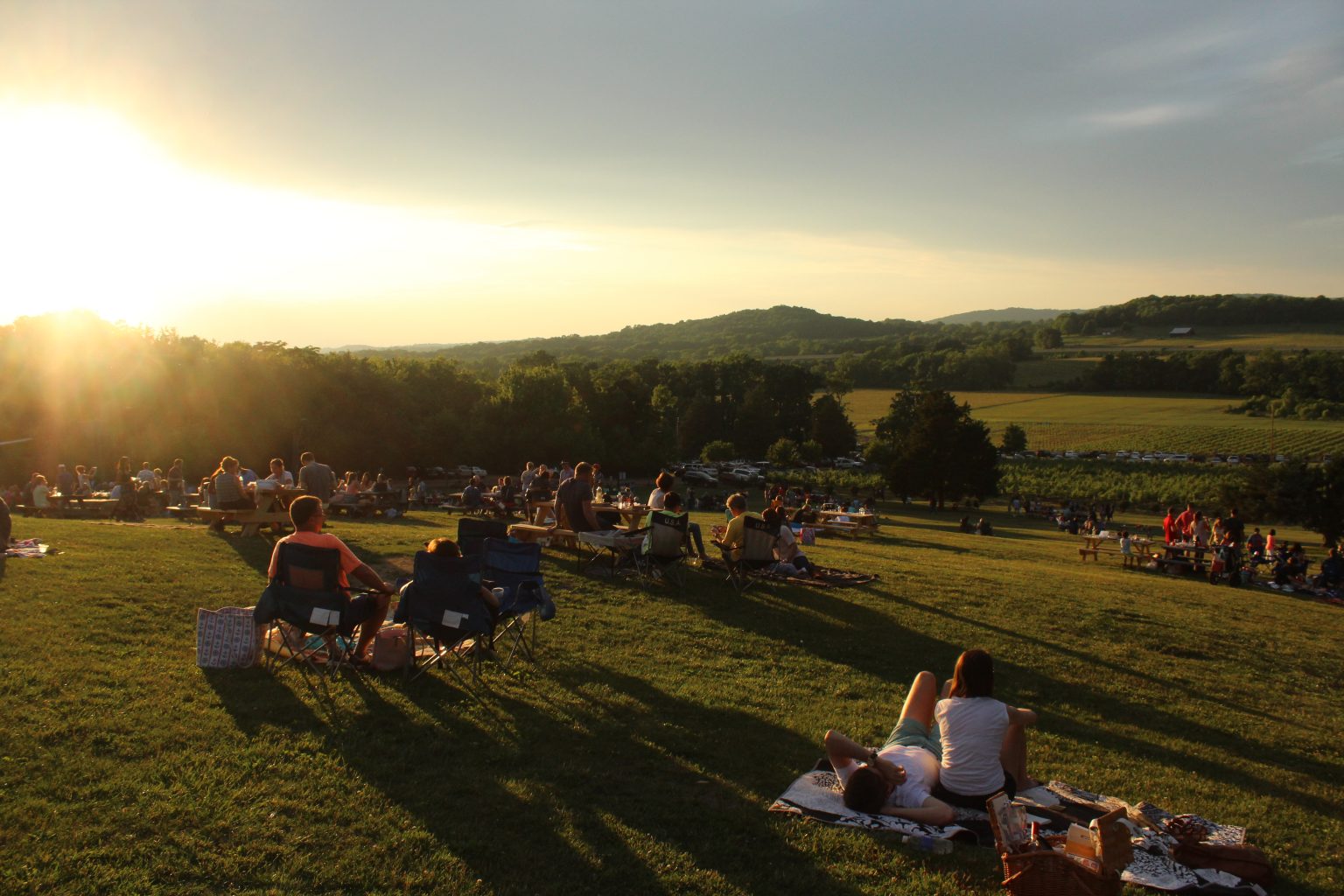 Wine Wednesday- Trivia on the Hillside Arrington Vineyards.