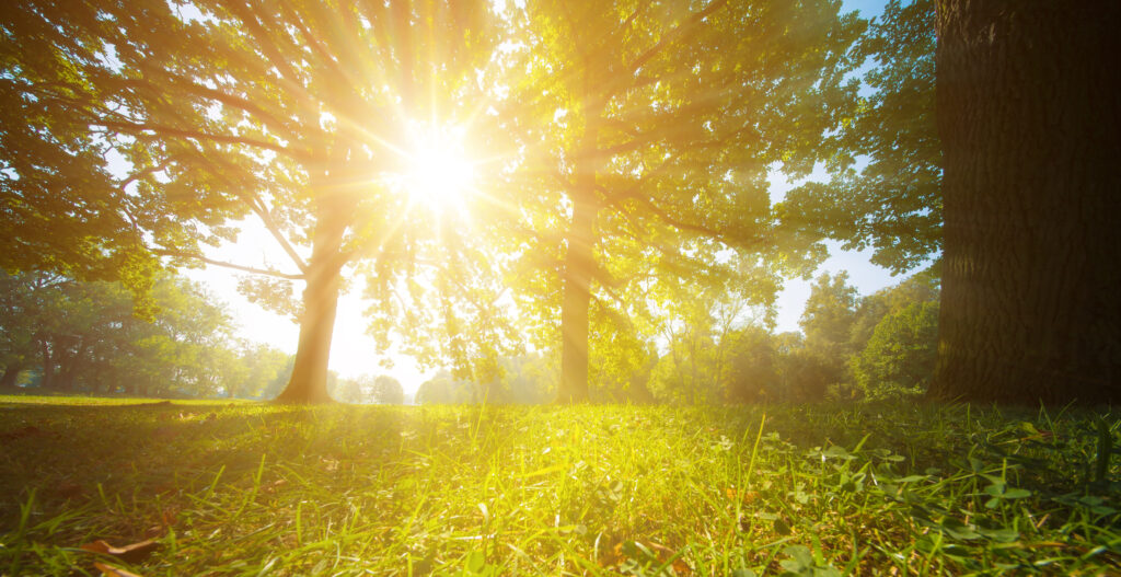 Cool Places to Go When It’s Hot in Franklin and Williamson County, TN