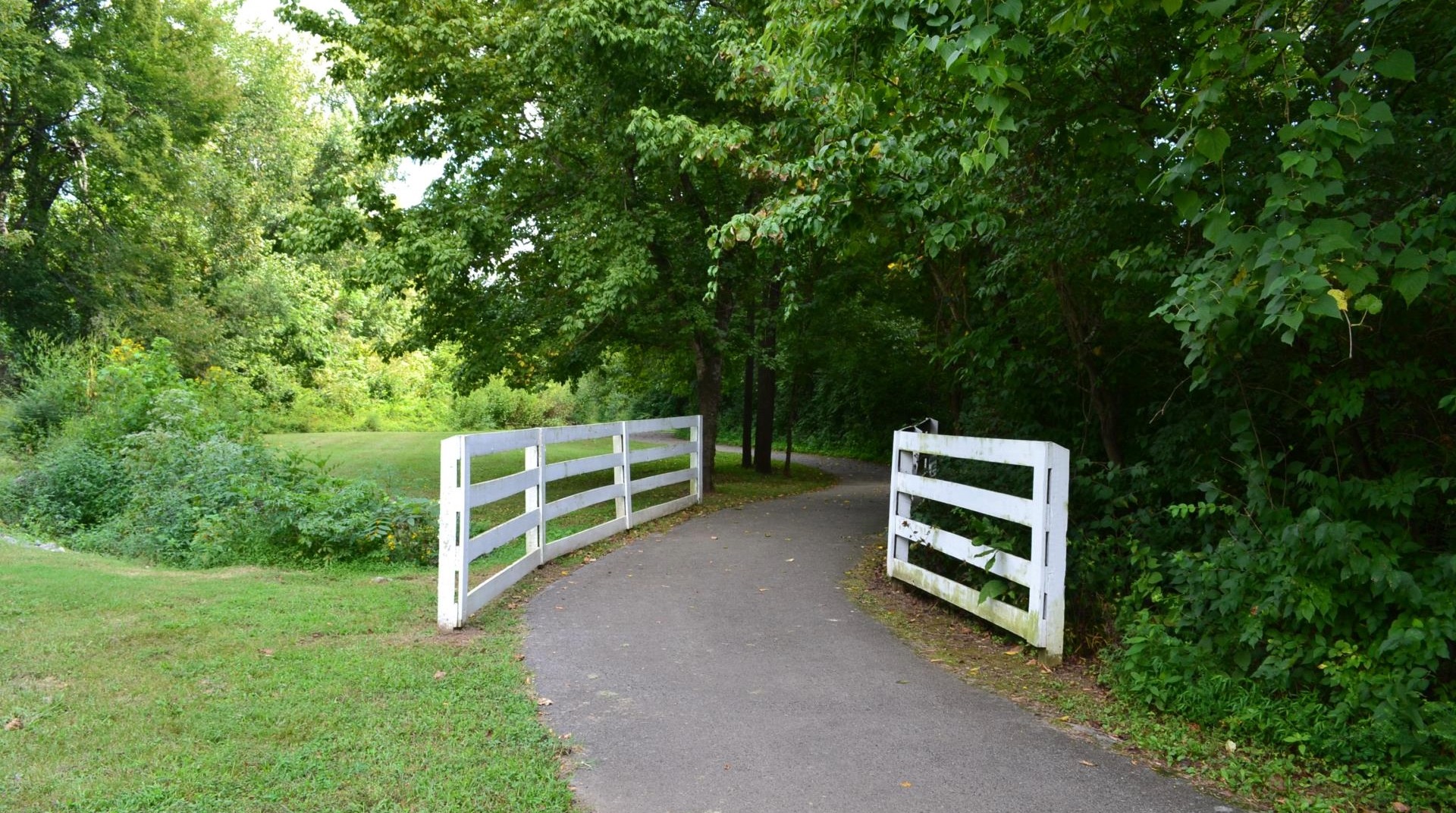 Paved walking trail through Aspen Grove Park in Franklin, Tennessee