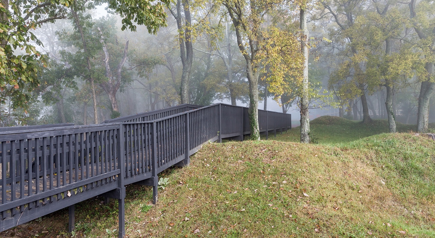 Wooden boardwalk through the wooded grounds at Fort Granger in Franklin, Tennessee