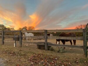 Kindred Spirits, a therapeutic riding program in Franklin, TN.