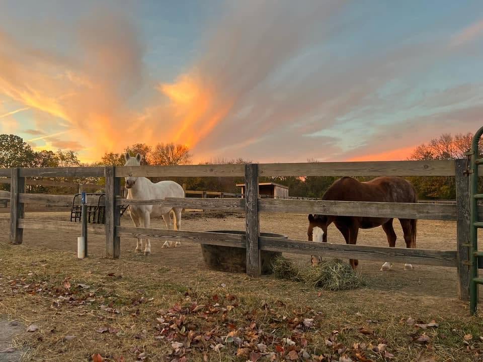 Kindred Spirits, a therapeutic riding program in Franklin, TN.