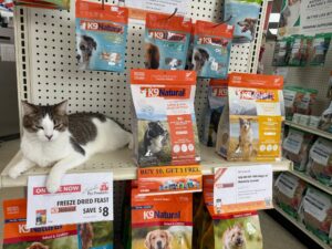 Cat resting beside shelves of dog and cat food at Nashville Pet Products.