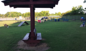 Fenced grassy play area at Nolensville Dog Park in Nolensville, Tennessee, with benches, shade structures, and dog agility equipment.