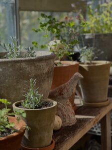Potted herbs and pottery displayed at The Potterie at Patina Meadow in Leiper’s Fork, Tennessee.