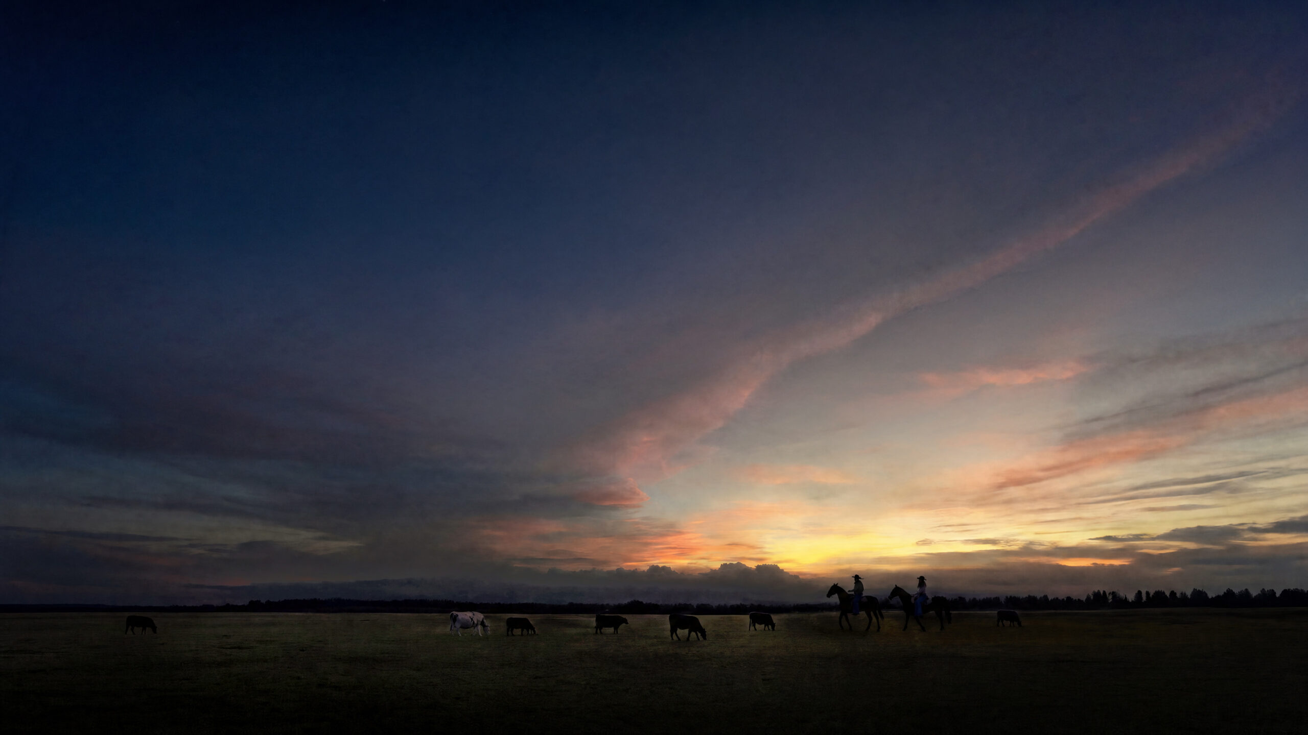 Dane Howard’s TN COWBOY artwork showing riders and cattle under a dramatic sunset sky inspired by Tennessee landscapes